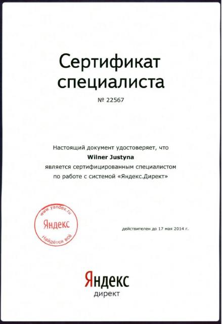 Yandex Expert Certificate